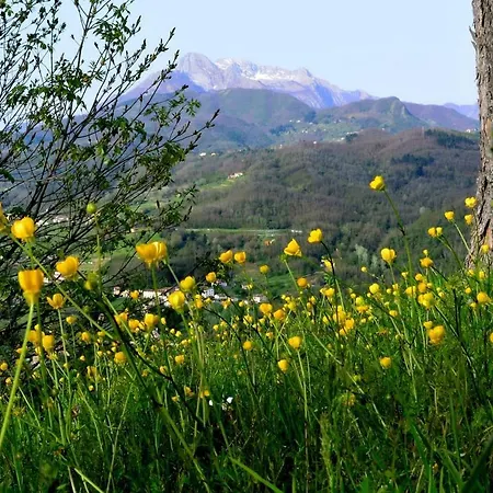 Serenella